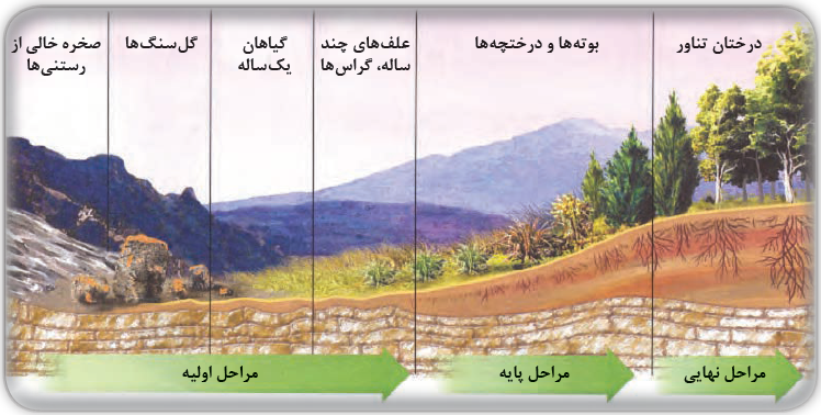 تشکیل خاک از عوامل غیرزنده