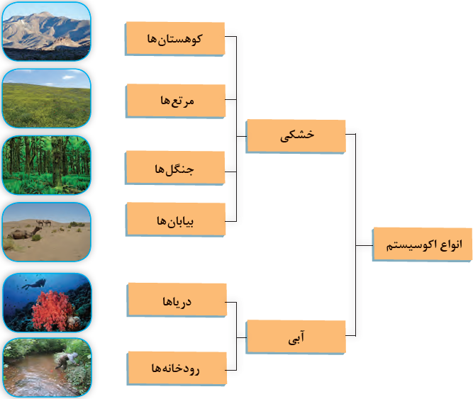 انواع اکوسیستم