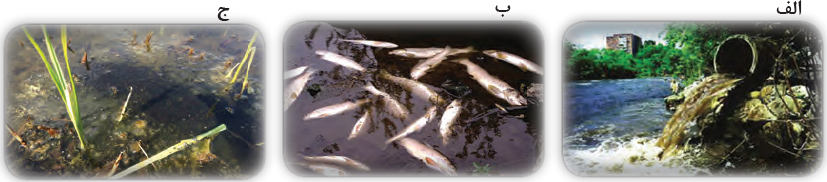 مراحل تغییر اکوسیستم رودخانه