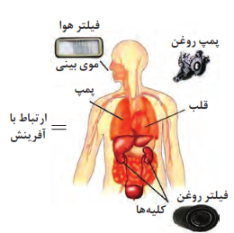  انواع فیلترها در بدن انسان