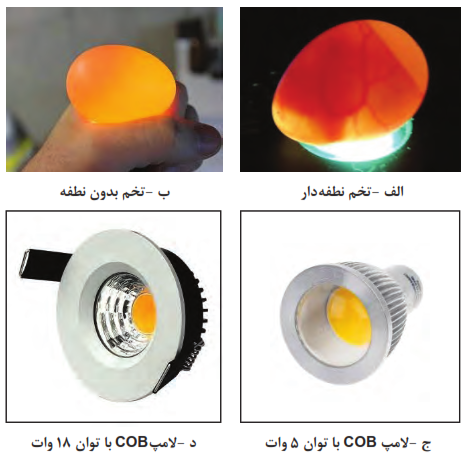 تشخیص تخم نطفه&zwnj;دار با لامپ