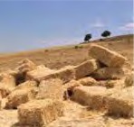 کلش پرس&zwnj;شده