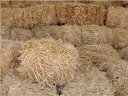 کلش گندم انبارشده
