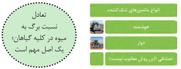 تعادل نسبت برگ به میوه در کلیه گیاهان؛ یک اصل مهم است. انواع ماشین&zwnj;های تنک کننده: هوشمند+دوار+تصادفی