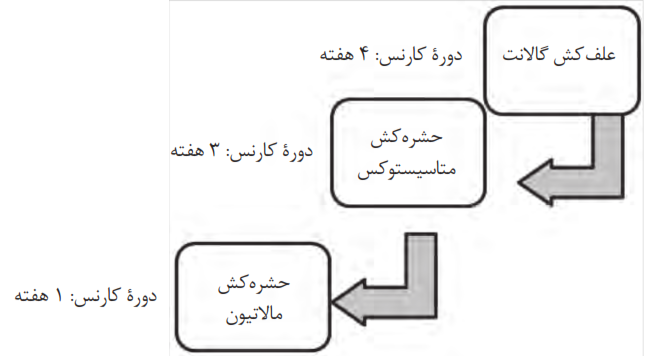 سبزی&zwnj;ها و صیفی&zwnj;ها را نباید در دورة کارنس مصرف کرد.
