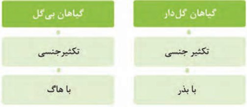 گیاهان گلدار (تکثیر جنسی با بذر) + گیاهان بی&zwnj;گل (تکثیر جنسی با هاگ)