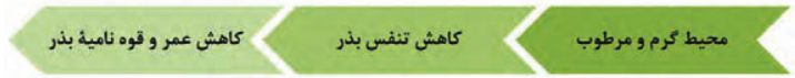 محیط گرم و مرطوب- کاهش تنفس بذر- کاهش عمر و قوه نامیه بذر