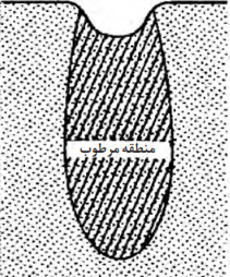 خاک شنی