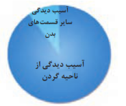 قسمت های اصلی نواحی آسیب دیده در برخورد از عقب که باعث آسیب رساندن به راننده/ سرنشین شده است.