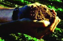 خاک یکی از منابع تجدیدناپذیر است.