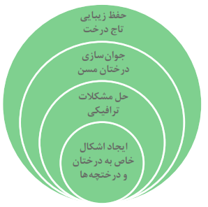 حفظ زیبایی تاج درخت+جوانسازی درختان مسن+حل مشکلات ترافیکی+ایجاد اشکال خاص به درختان و درختچه&zwnj;ها