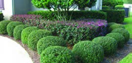ایجاد پیوستگی در طراحی توسط تکرار