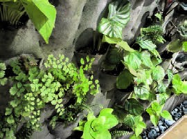 کاشت گیاه در جیب&zwnj;های الیاف پارچه&zwnj;ای پلیمری