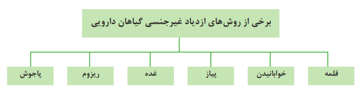 برخی از روش&zwnj;های ازدیاد غیرجنسی گیاهان دارویی: (قلمه - خوابانیدن - پیاز - غده - ریزوم - پاجوش)