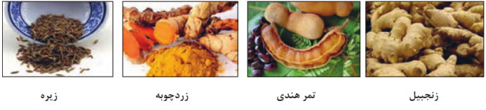 زنجبیل+تمر هندی+زردچوبه+زیره