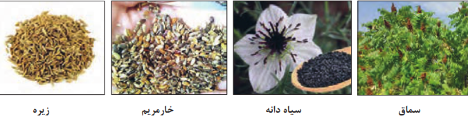 سماق سیاه دانه خارمریم زیره
