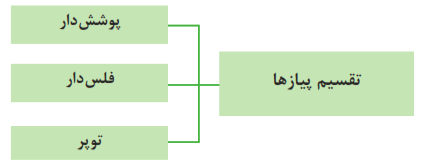 تقسیم پیاز&zwnj;ها: 1- پوشش&zwnj;دار 2- فلس&zwnj;دار 3- توپر