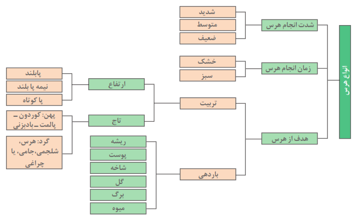 انواع هرس: زمان انجام هرس+هدف از هرس+ارتفاع+تاج+ریشه+پوست+شاخه+گل+برگ+میوه