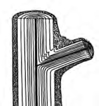 شاخه با زاویه باز