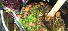 کمپوست