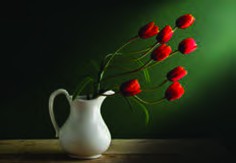 گرایش به سمت نور