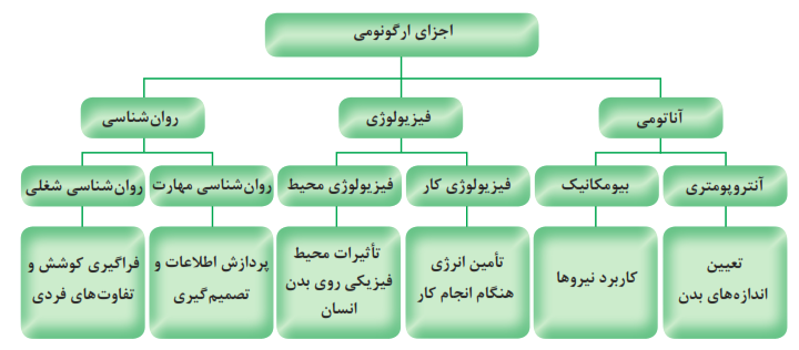 نمودار اجزای ارگونومی