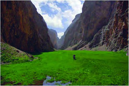 ب - هوا و خاک پاک