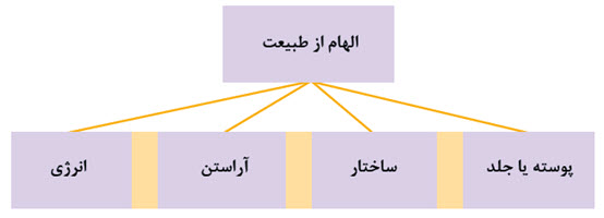 الهام از طبیعت : پوسته یا جلد ، ساختار ، آراستن ، انرژی
