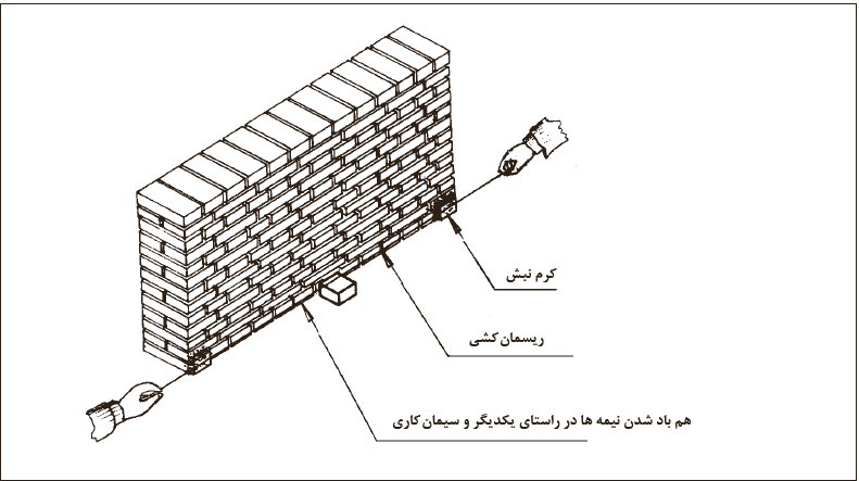 مرحله 3- ریسمان&zwnj;کشی بین دو کرم به منظور کرم&lrm;سازی میانی