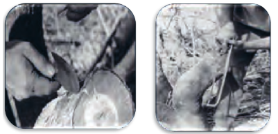 برش پایه