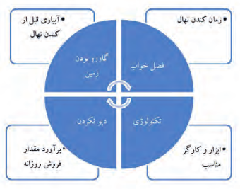 عوامل مؤثر در افزایش کیفیت نهال&zwnj;ها در زمان کَندن نهال از خزانه+زمان کندن نهال+آبیاری قبل از کندن نهال+ابزار و کارگر مناسب+برآورد مقدار فروش روزانه+فصل خواب+گاورو بودن زمین+تکنولوژی+دپو نکردن