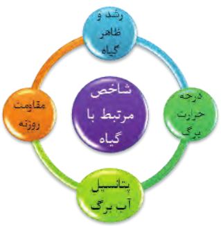 شاخص مرتبط با گیاه: 1- رشد و ظاهر گیاه 2- درجه حرارت برگ 3- پتانسیل آب برگ 4- مقاومت روزنه