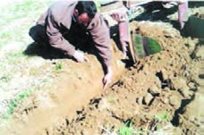 نمایش عمق شخم