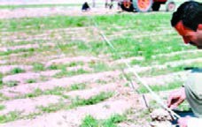  علامت&zwnj;گذاری عرض در هر قطعه