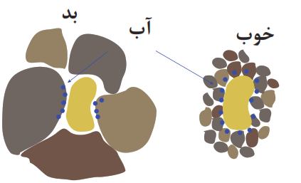  مقایسه تماس بذر با خاک و نقش آن در جذب آب توسط بذر