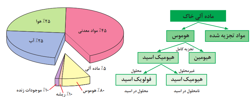  فرایند تشکیل هوموس، نقش هوموس