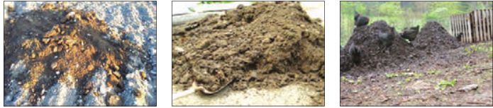 کودمرغی، کودگاوی و گوسفندی