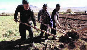  شخم&zwnj;زدن با بیل