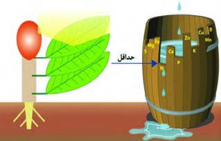 قانون بشکه در رابطه با عناصر غذایی