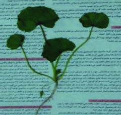 خشک&zwnj;کردن نمونه