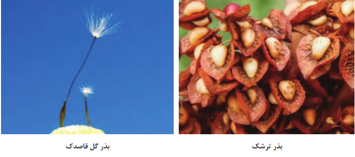  انتشار از طریق جریان باد