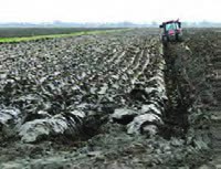 شرایط نامناسب (رطوبت زیاد)