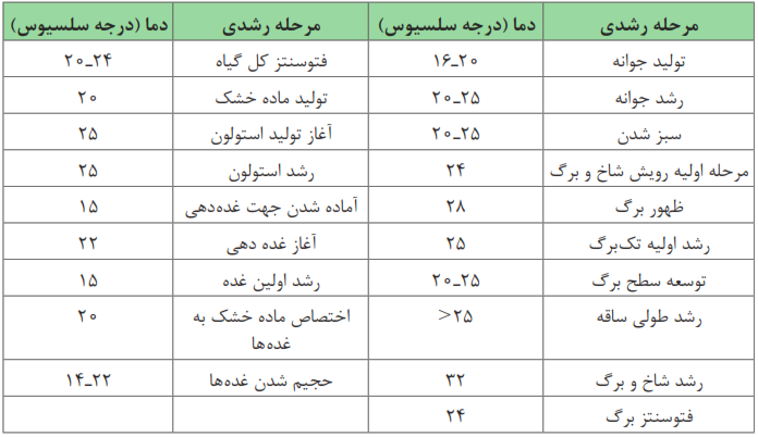 دمای بهینه برای مراحل مختلف رشد سیب&zwnj;زمینی