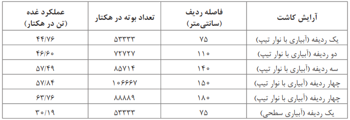 فواصل ردیف، تعداد بوته در هکتار و عملکرد غده در آرایش کاشت مختلف