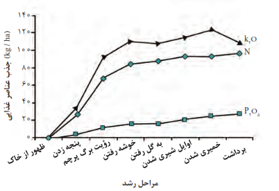  جذب عناصر در مراحل مختلف رشد گندم