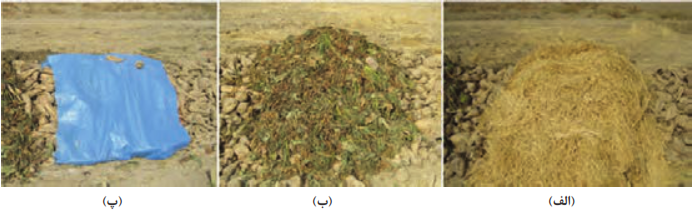  پوشش سیلوی کنار مزرعه با (الف) کلش گندم، (ب) بقایای اندام هوایی چغندرقند و (پ) گونی پلاستیکی