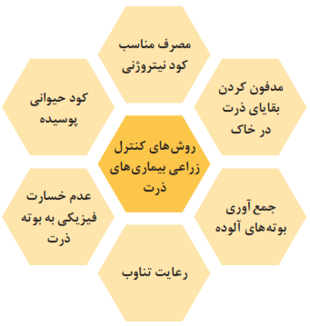 روش&zwnj;های کنترل زراعی بیماری&zwnj;های ذرت: مدفون کردن بقایای ذرت در خاک- جمع&zwnj;آوری بوته&zwnj;های آلوده- رعایت تناوب- عدم خسارت فیزیکی به بوته ذرت- کود حیوانی پوسیده- مصرف مناسب کود نیتروژنی