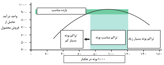 رابطه تراکم بوته و عملکرد مطلوب در ذرت علوفه&zwnj;ای