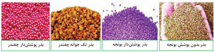 دو نوع از بذور پوشش داده شده زراعی