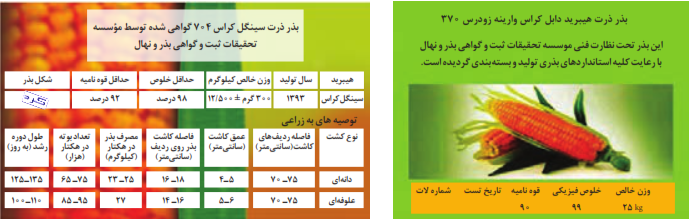 نمونه برچسب روی بذر گواهی شده